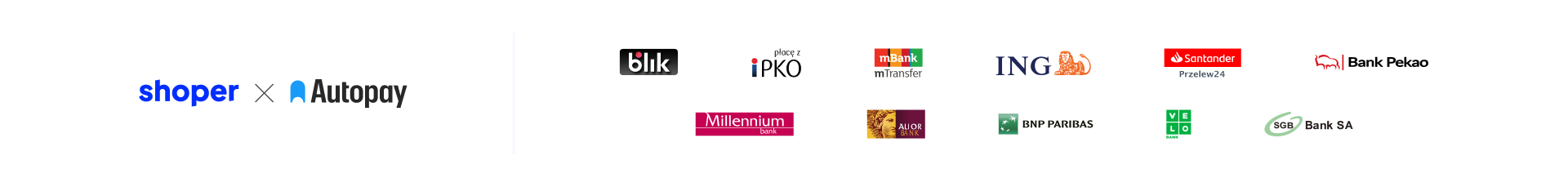 Baner płatności